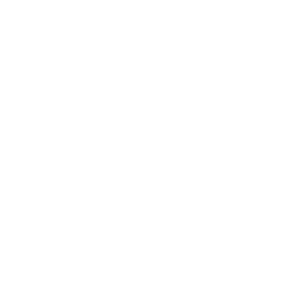 実施企業数 50社以上